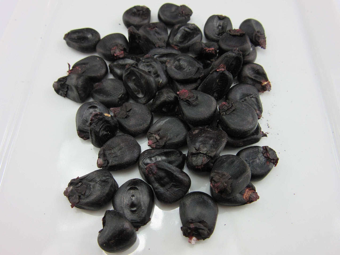 Black Corn Seeds – 50 Seeds per Pack
