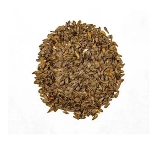 Chinese Baby Cabbage Seeds – 300 Repacked Seeds | Fast-Growing, Nutritious Vegetable for Home Gardens