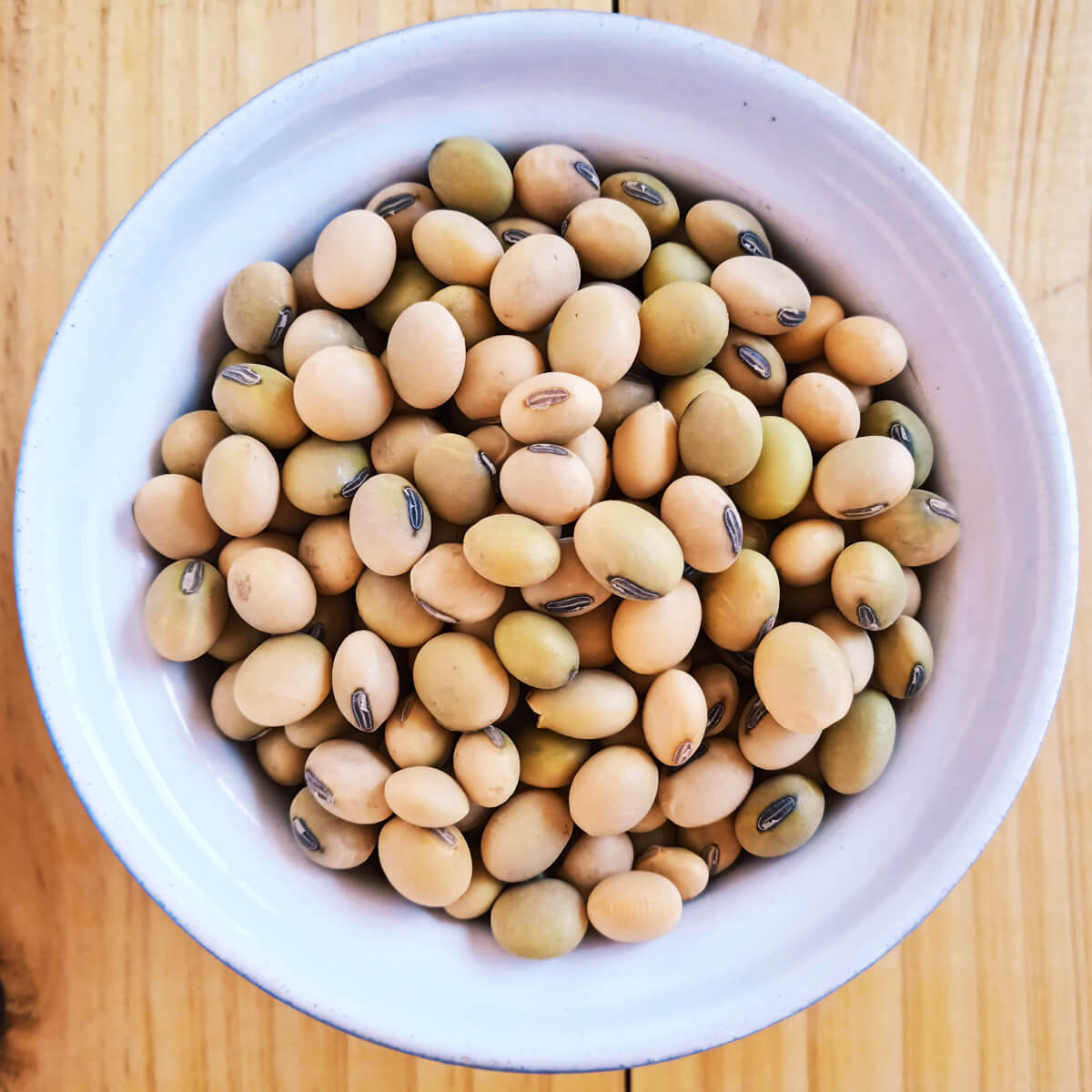 Edamame Seeds – Fresh Soybeans for Home Garden | 20 Seeds