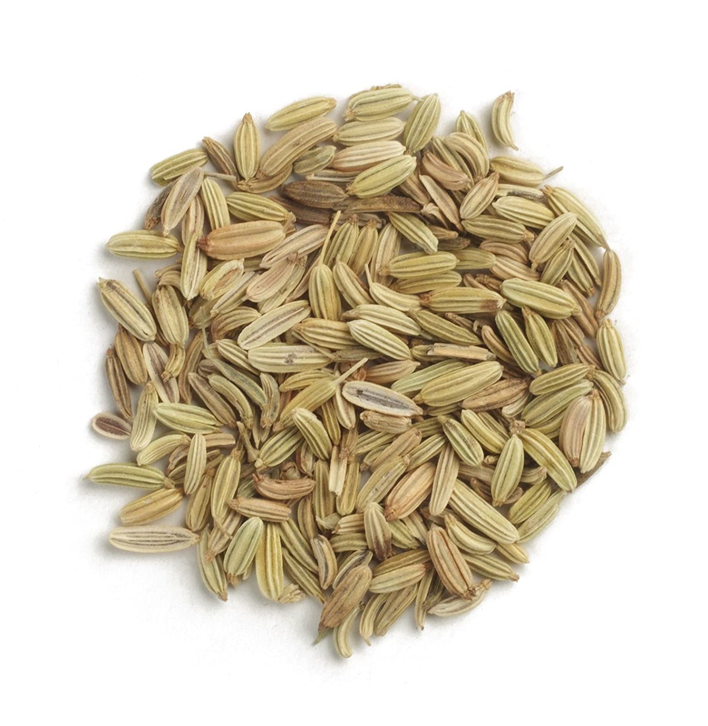 Stubble Fennel Seeds 500pcs Repacked | Aromatic Herb | Home Garden Vegetable | Easy to Grow