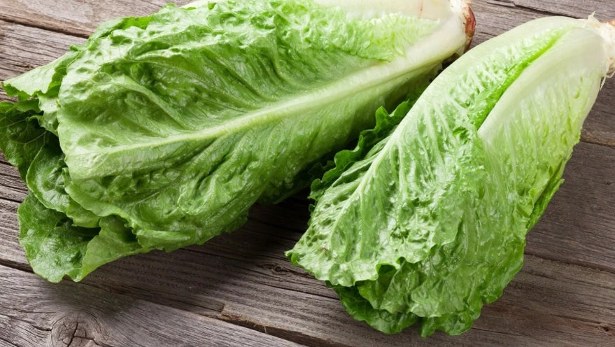 Great Romaine Lettuce 500 Seeds