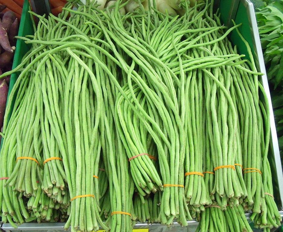 Green Long Bean Seeds – 20 Repacked Seeds | High-Yield, Crisp & Easy-to-Grow Vegetable for Home