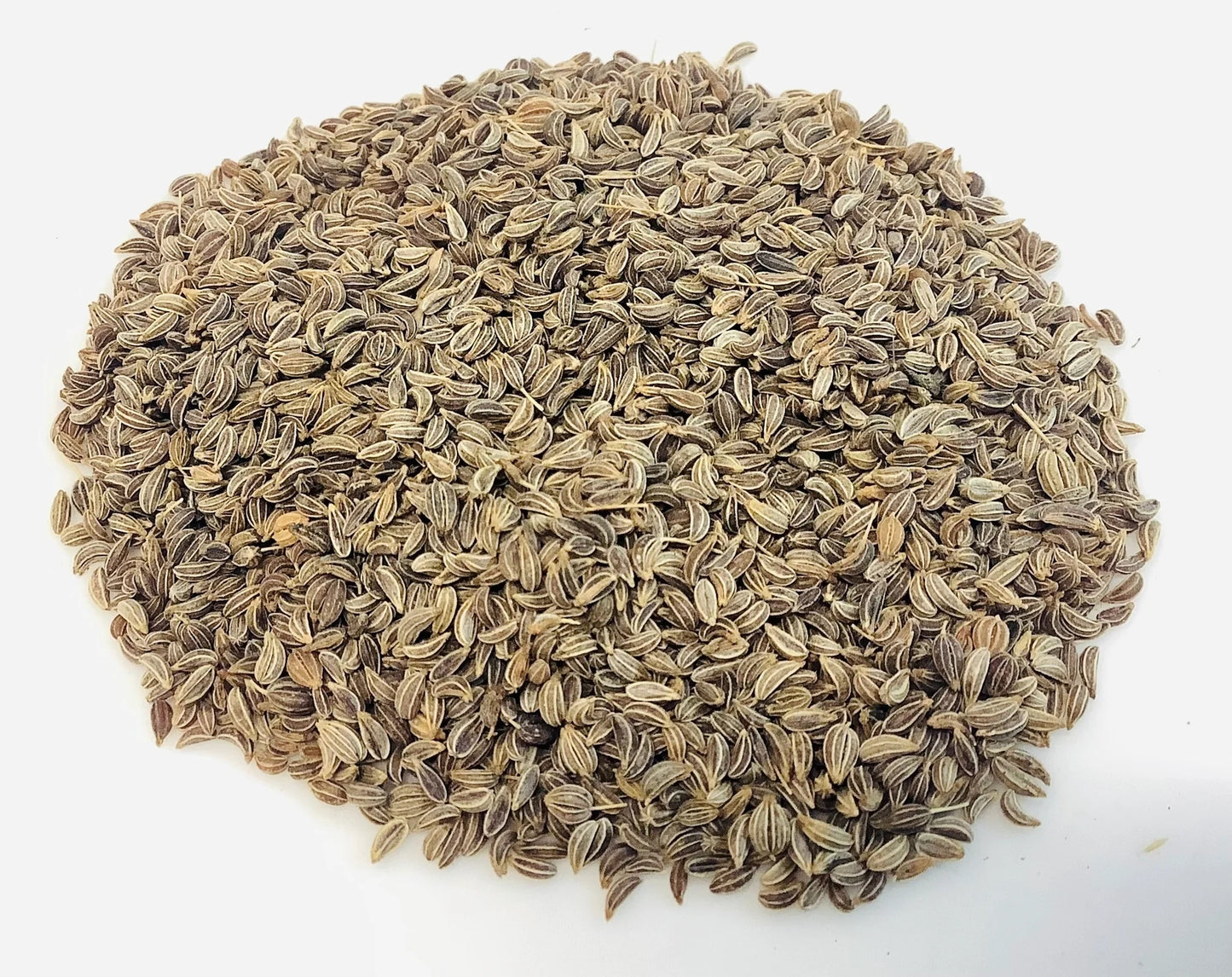 Parsley Seeds – 300 Repacked Seeds | Aromatic, Fast-Growing Herb for Home Gardens