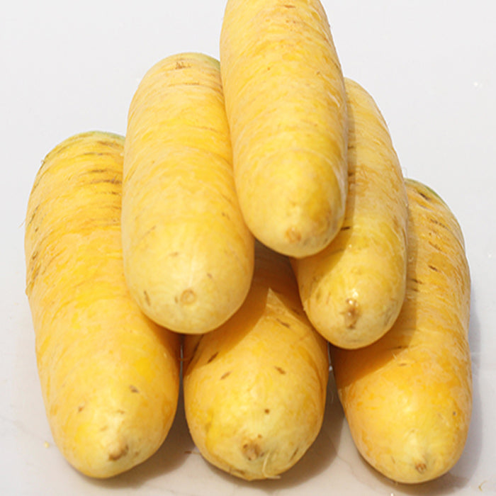 Yellow Carrot Seeds 300pcs Repacked | Sweet Heirloom Vegetable Seeds | Home Garden Carrots