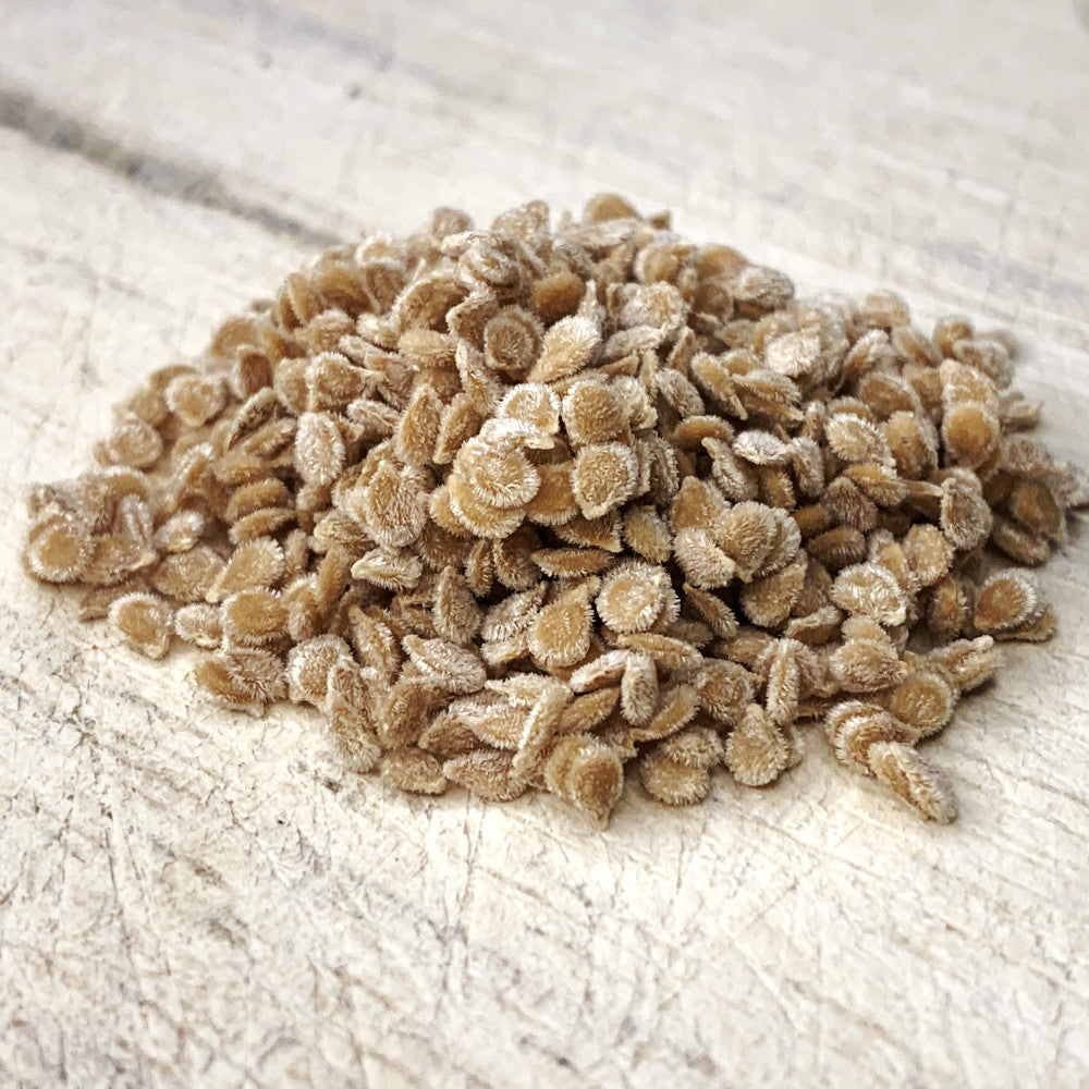 Big Black Tomato Seeds 50pcs Repacked | Heirloom Dark Purple Tomato | Sweet Juicy High Yield | Home Garden Vegetable Seeds