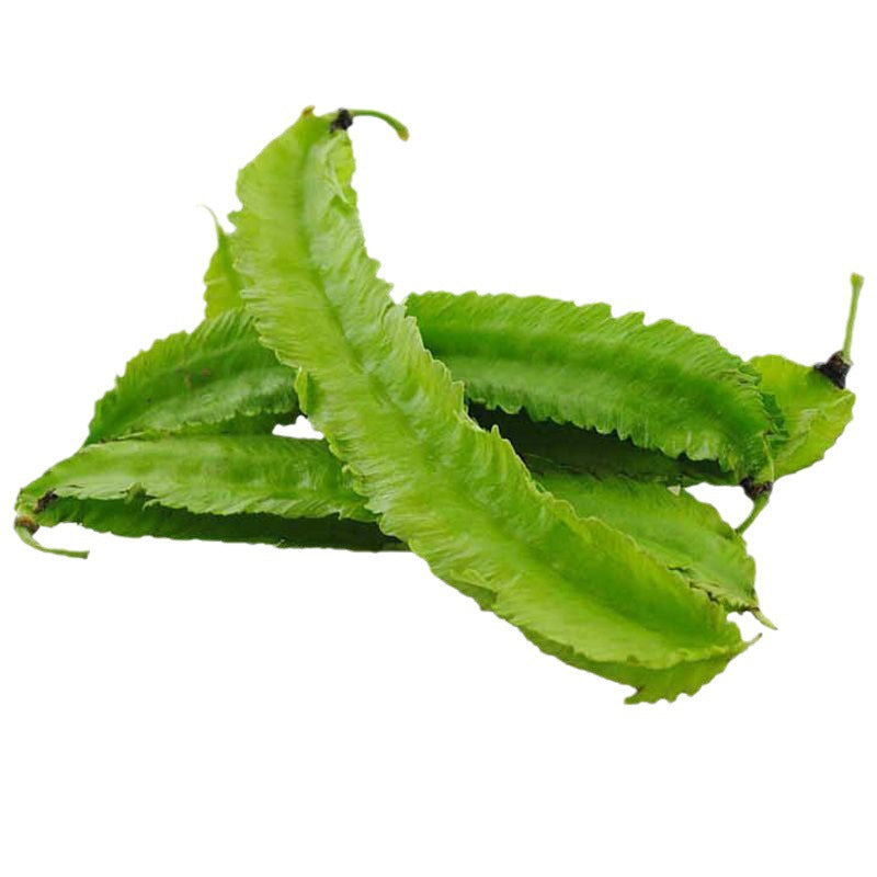 Winged Bean (Sigarilyas) Seeds – 5 Seeds | High-Yield, Nutritious Vegetable for Home Gardening