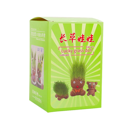 Grass Head Doll Toy – Kids Plant Growing Kit with Real Grass Hair, Fun Desk & Home Décor