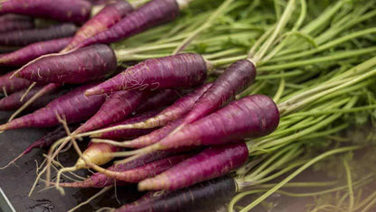 Purple Carrot Seeds 300pcs Repacked | Cosmic Purple Heirloom Vegetable Seeds | Home Garden Carrot