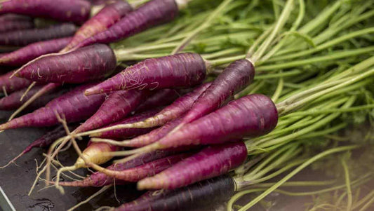 Purple Carrot Seeds 300pcs Repacked | Cosmic Purple Heirloom Vegetable Seeds | Home Garden Carrot