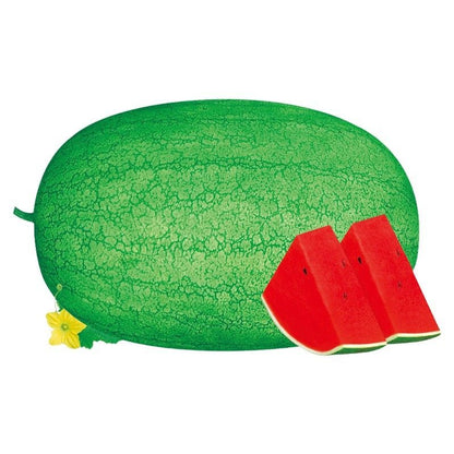 August Ambrosia Watermelon Seeds 15pcs Repacked | Sweet Juicy Heirloom Watermelon | Home Garden Seeds