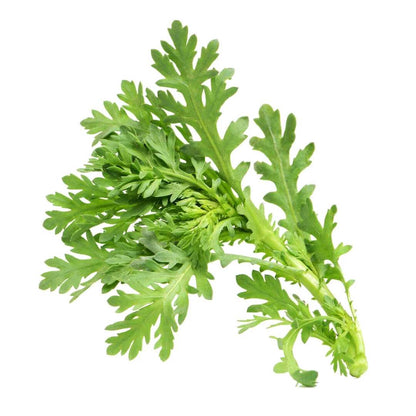 Small Leaf Garland Seeds 500pcs Repacked | Ornamental Climbing Vine | Home Garden Plants