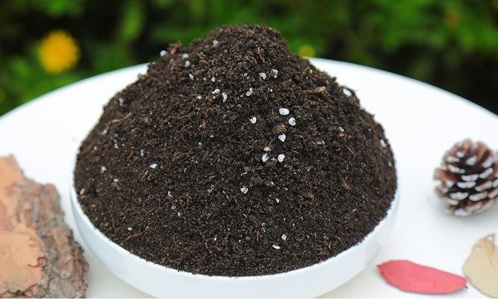 All-Purpose Nutrient Potting Soil 110Grams – Fertilized Mix for Flowers, Vegetables & Succulents