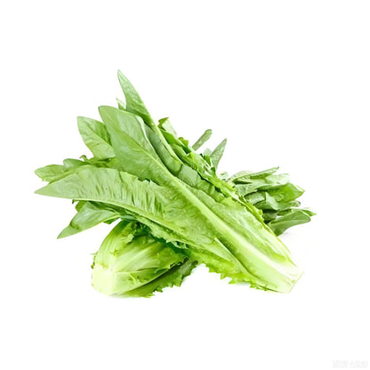 Parris Island Cos Romaine Lettuce Seeds 500pcs Repacked | Crisp Salad Greens | Home Garden Seeds
