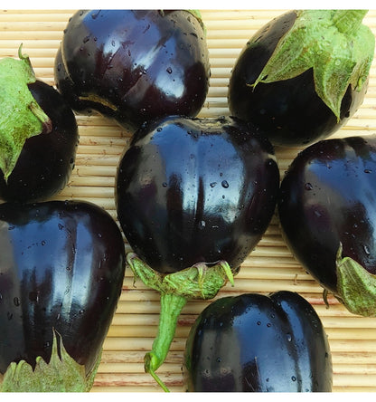 Black Purple Barbarella  Eggplant Seeds – 150 Repacked Seeds | Deep Purple Variety with Smooth Skin & Rich Flavor | Easy to Grow for Home Gardens