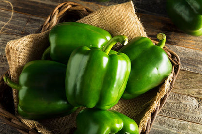 Green Bell Pepper 100 Seeds – High Germination, Sweet Crisp Peppers for Home Gardens