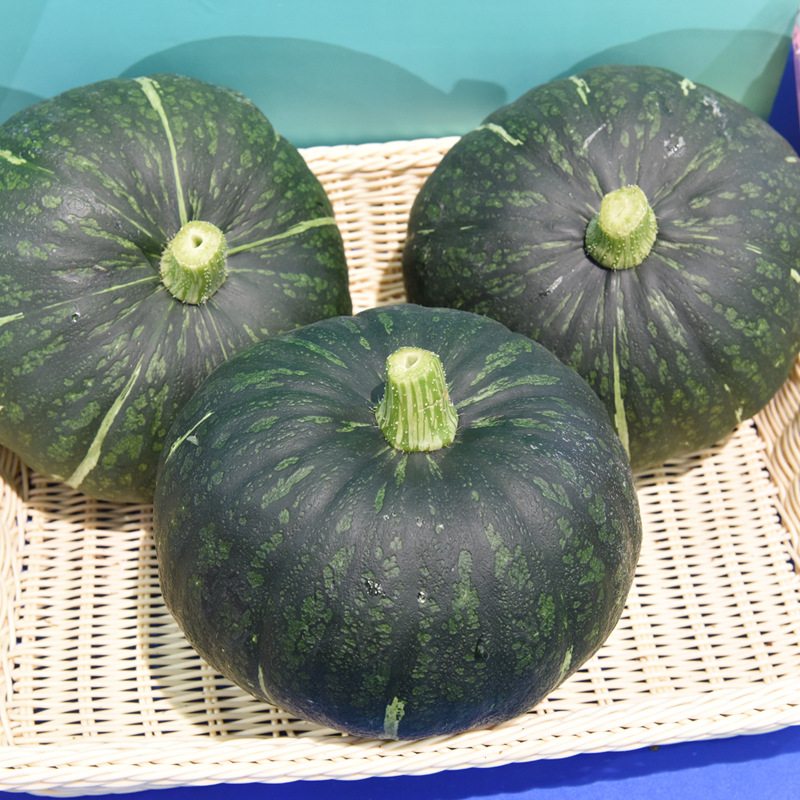 Kalabasa Seeds – Sweet, Nutritious Filipino Squash | 10 Seeds