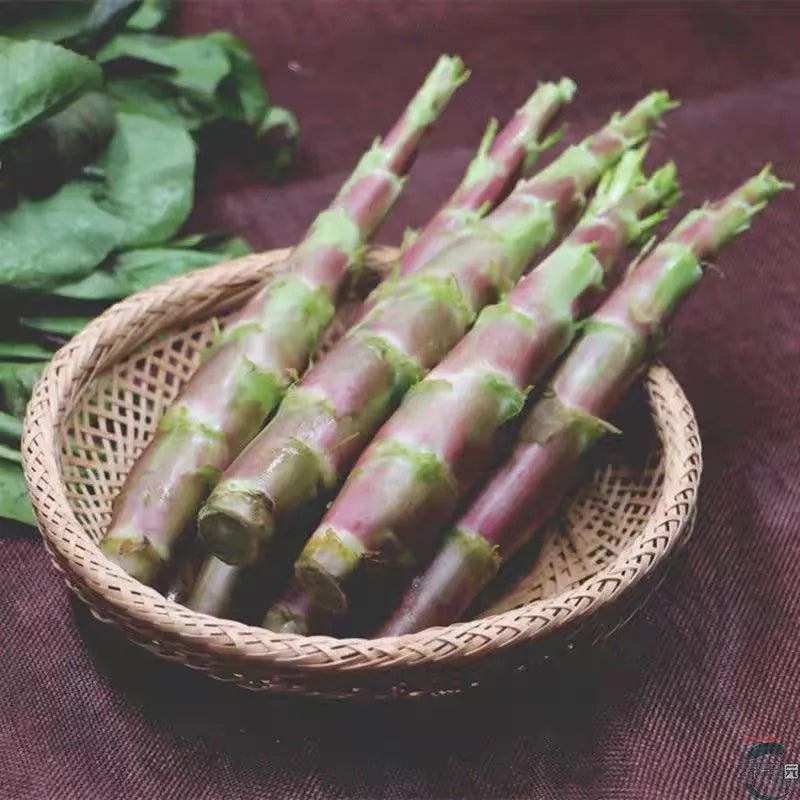 Red Stem Asparagus Lettuce 500 Seeds