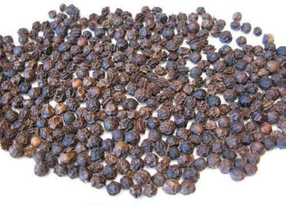 Red Lady Papaya Seeds – Sweet Red Flesh, Fast Growing Hybrid (20 Seeds)