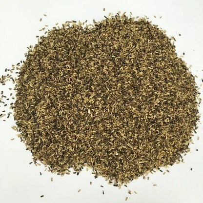 Chicory Lettuce Seeds – 2000 Repacked Premium Seeds for Home Garden