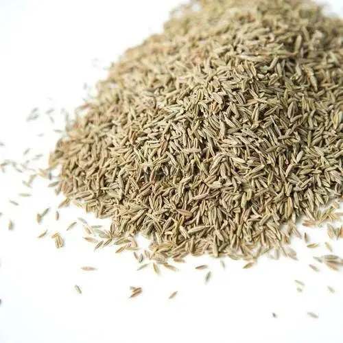 Lettuce – 250 Seeds (Repacked)