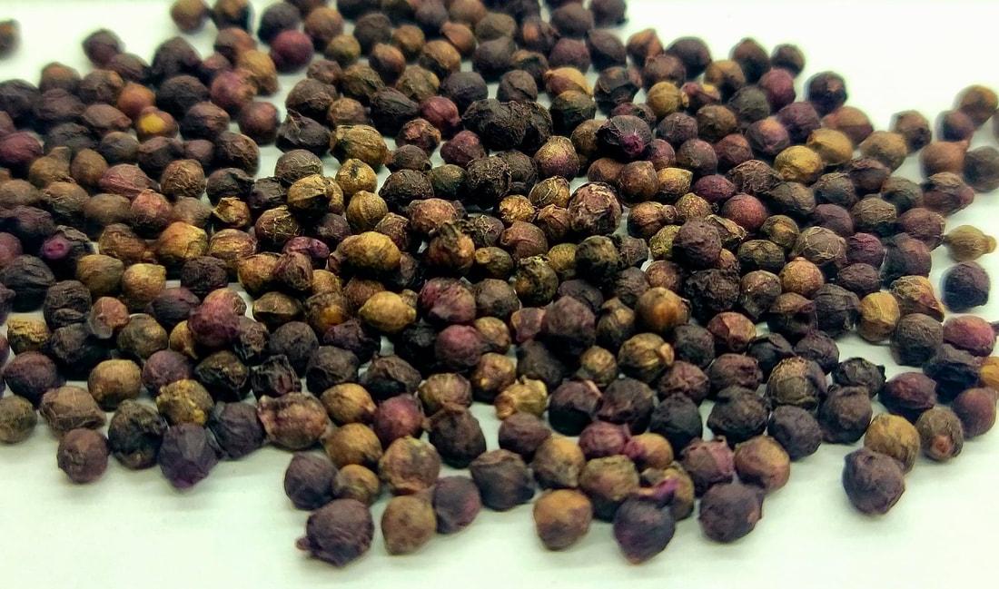 Green Alugbati (Malabar Spinach) – 50 Seeds