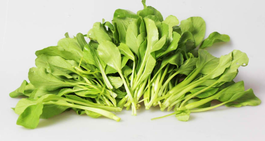 Baby Bok Choy Seeds – 500 Repacked Premium Seeds for Home Garden