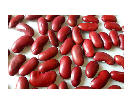 Baguio Beans Seeds – 10 Repacked Seeds | Crisp, Tender & Easy-to-Grow Vegetable for Home Gardens