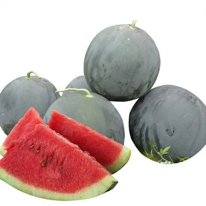 Black Round Seedless Watermelon Seeds – 15 Repacked Premium Seeds for Home Garden