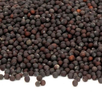 Purple Pechay Seeds – Vibrant Asian Leafy Vegetable (250 Seeds)