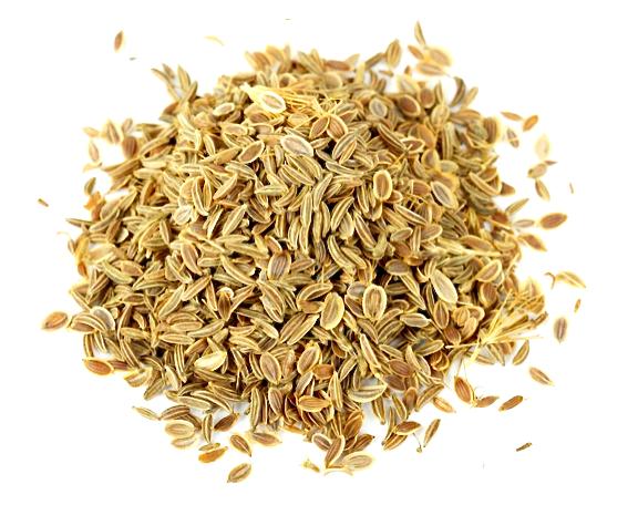 Red Carrot Seeds – 500 Repacked Seeds | Sweet, Nutritious Root Vegetable for Home Gardens