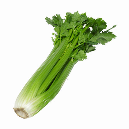 Big Celery Seeds – 1000 Repacked Seeds | Crunchy, High-Yield Variety for Home Gardens
