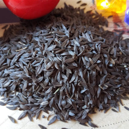 Green Asparagus Lettuce 500 Seeds