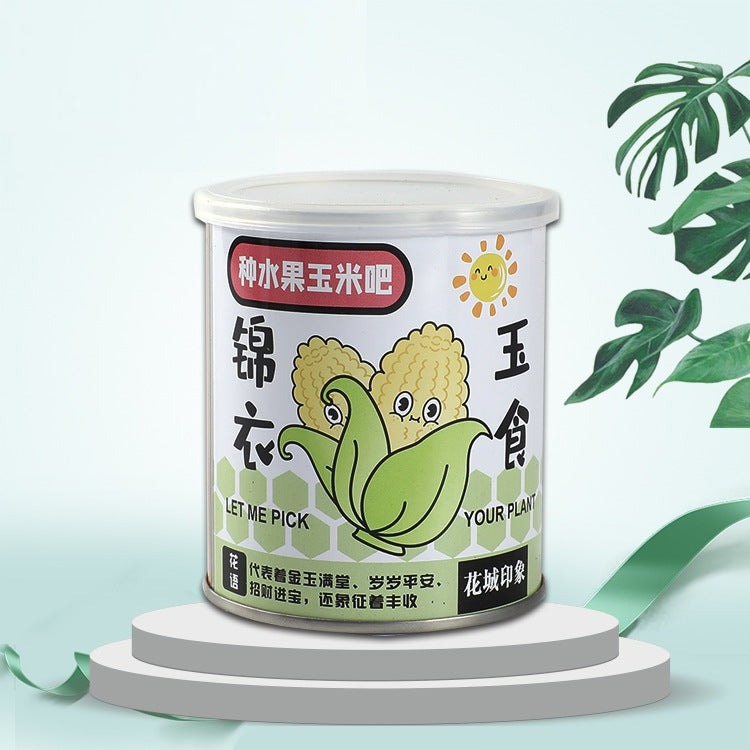 DIY Office Desk Mini Potted Decoration Plants | Rustic Farmhouse Home & Office Decor