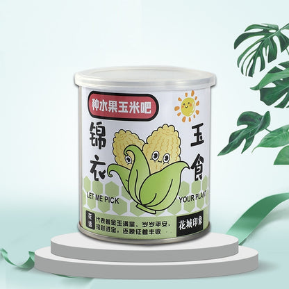 DIY Office Desk Mini Potted Decoration Plants | Rustic Farmhouse Home & Office Decor