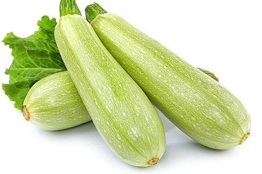 Long Zucchini Cuarzo – 10 Seeds (Repacked)