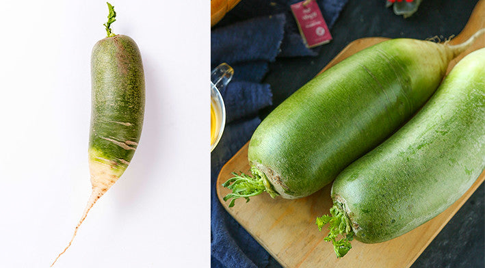 Green Long Radish Seeds – 100 Repacked Seeds | Crisp, Nutritious Root Vegetable for Home Gardens