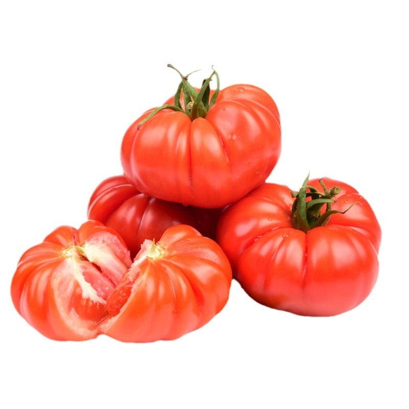 Beefsteak Heirloom Tomato Seeds – Large, Juicy Slicing Tomato (50 Seeds)