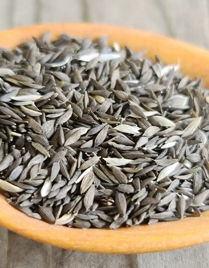 Parris Island Cos Romaine Lettuce Seeds 500pcs Repacked | Crisp Salad Greens | Home Garden Seeds