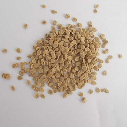 Native Tomato Seeds (100 pcs) – Repacked | Heirloom Kamatis for Home Gardening