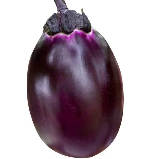 Purple Oval Eggplant 150 Seeds | High Yield Vegetable Garden Seeds