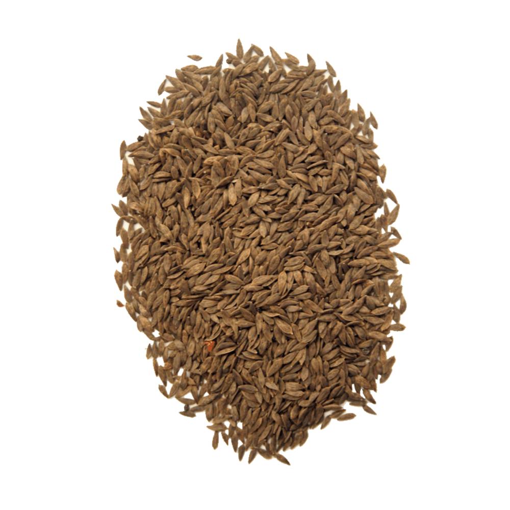 Purple Leaf Lettuce 500 Seeds