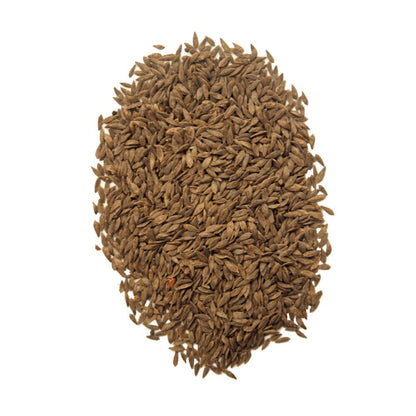 Purple Leaf Lettuce 500 Seeds