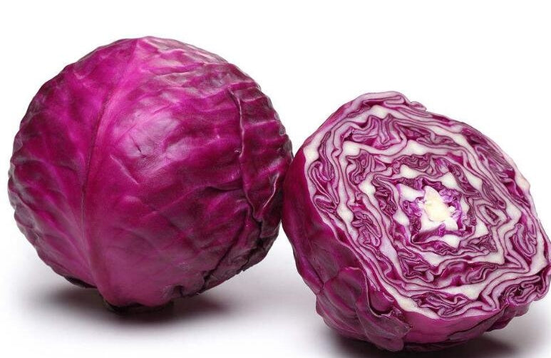Purple Repolyo Seeds 100 Seeds – Easy to Grow Home Garden Vegetable