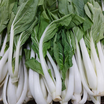 Rapid Pechay Cabbage Seeds – 300 Repacked Seeds | Fast-Growing, Tender & Easy-to-Grow Leafy Vegetable