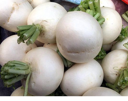 Round White Radish Seeds – 100 Repacked Seeds | Crisp, Nutritious Root Vegetable for Home Gardens