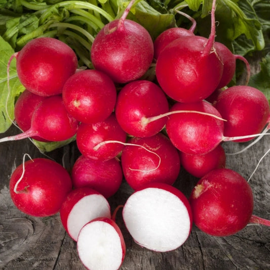 Cherry Belle Radish – 100 Seeds (Repacked)