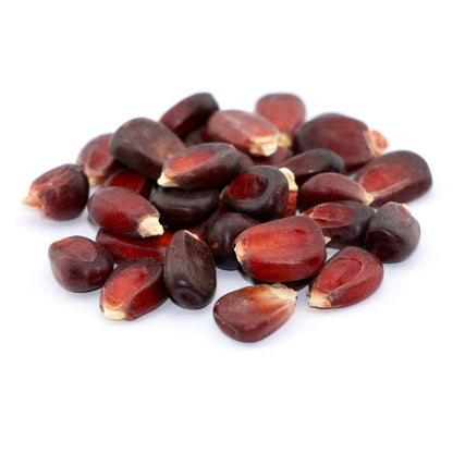 Red Corn Seeds – 50 Seeds per Pack