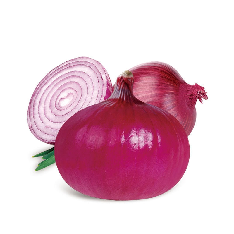 Red Onion Seeds – 250 Repacked Premium Seeds for Home Garden