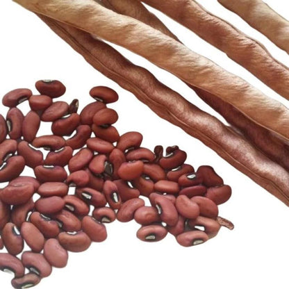 Dwarf Red Long Bean Seeds – 20 Repacked Seeds | Compact, High-Yield & Easy-to-Grow Vegetable for Home Gardens