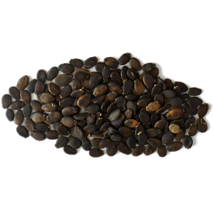 Round Watermelon Seeds – Sweet, Juicy Red Flesh | 15 Seeds